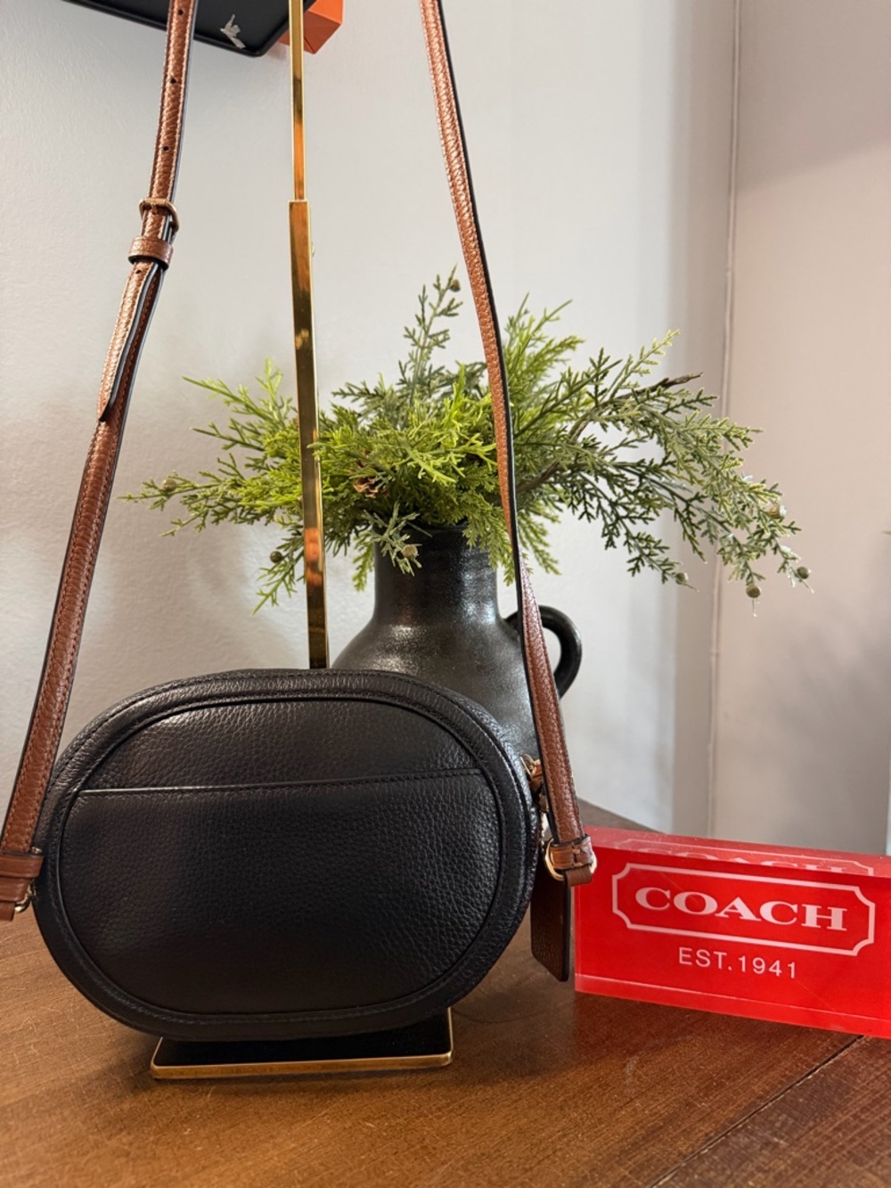 Coach Horse & Carriage Camera Bag - Picture 2 of 13